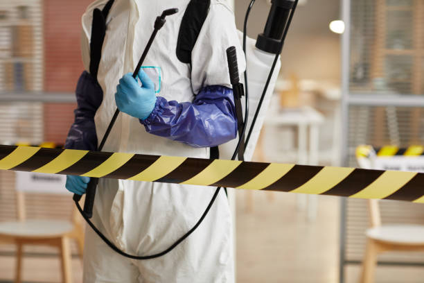 Professional Sewage Cleanup technician working in Mead, NE